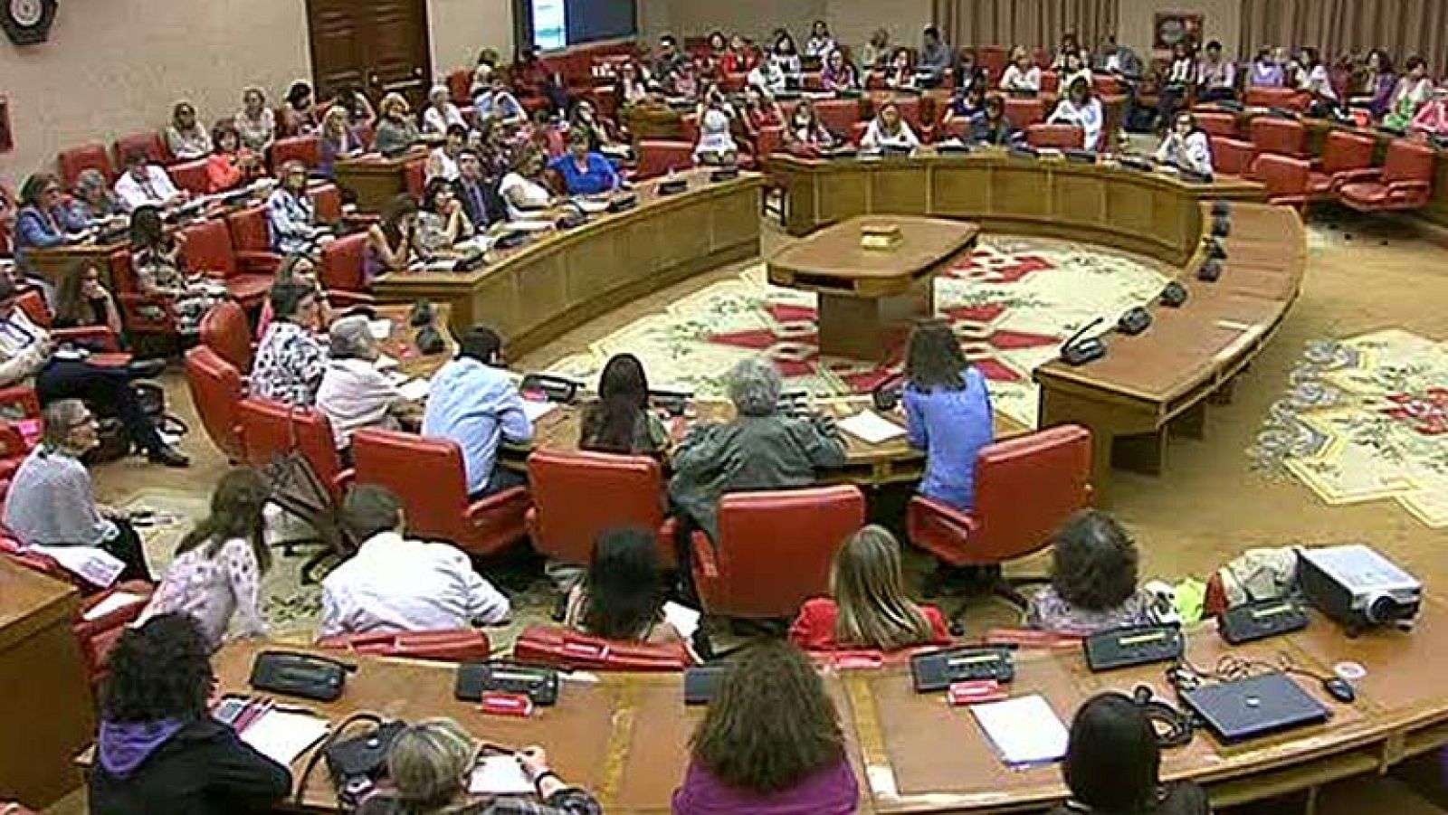 Dos seminarios, a favor y en contra de la reforma del aborto, se celebran a la vez en el Congreso | Ver