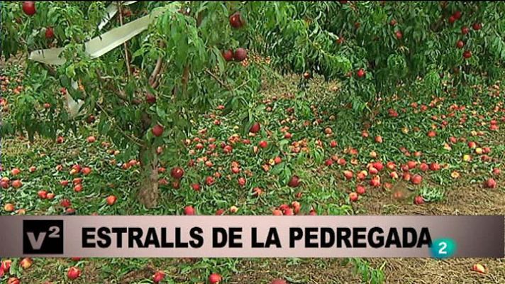 Vespre a La 2 - Vespre a La 2 - Informatiu - 03/07/14