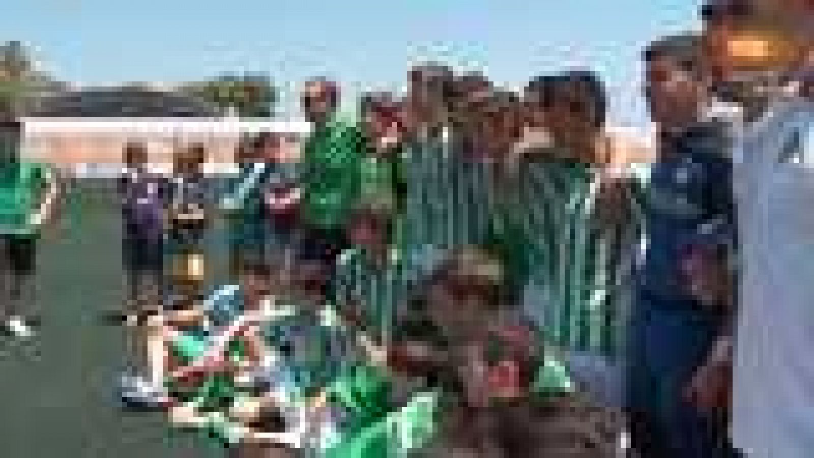 Fútbol - COTIF Youth Cup - ver ahora