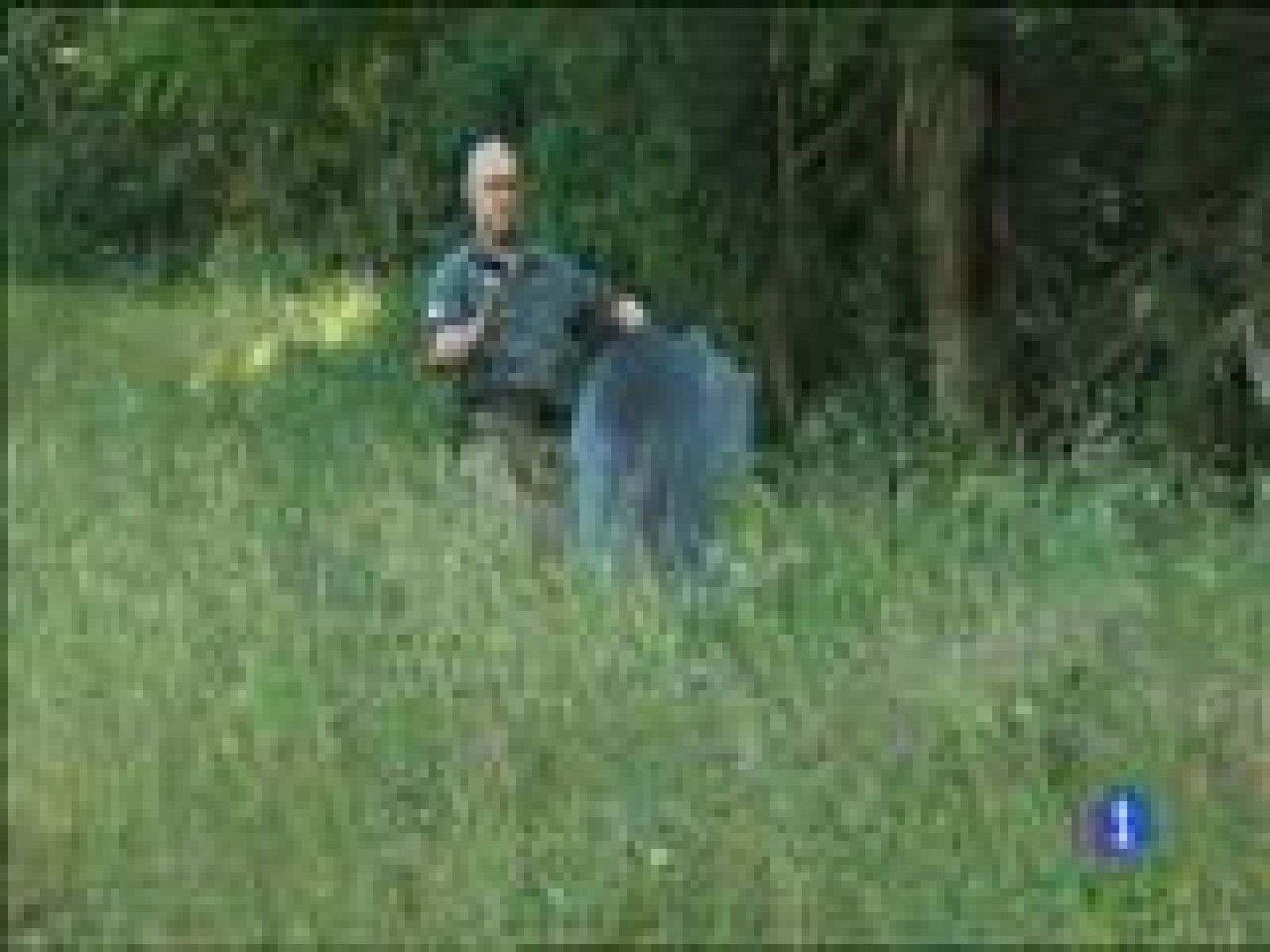 Panorama Regional 2 - 04/07/14 | Ver