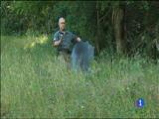 Panorama Regional - Panorama Regional 2 - 04/07/14