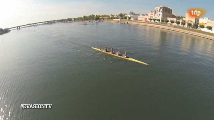 Evasión - T2 - Programa 11