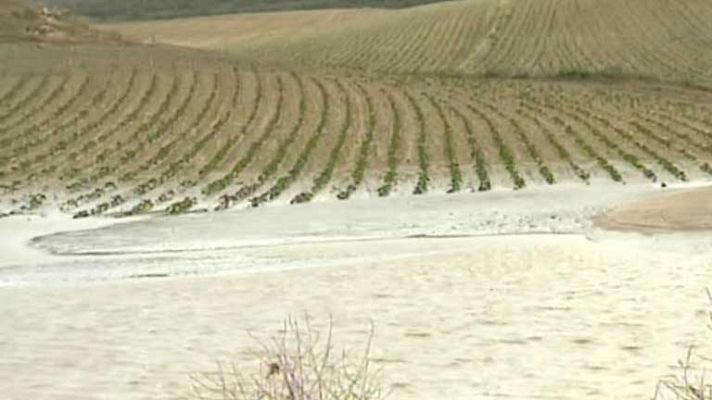 Telediario 1 - El granizo castiga al campo de toda España