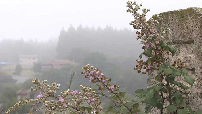 El tiempo - Chubascos localmente fuertes en el extremo norte peninsular