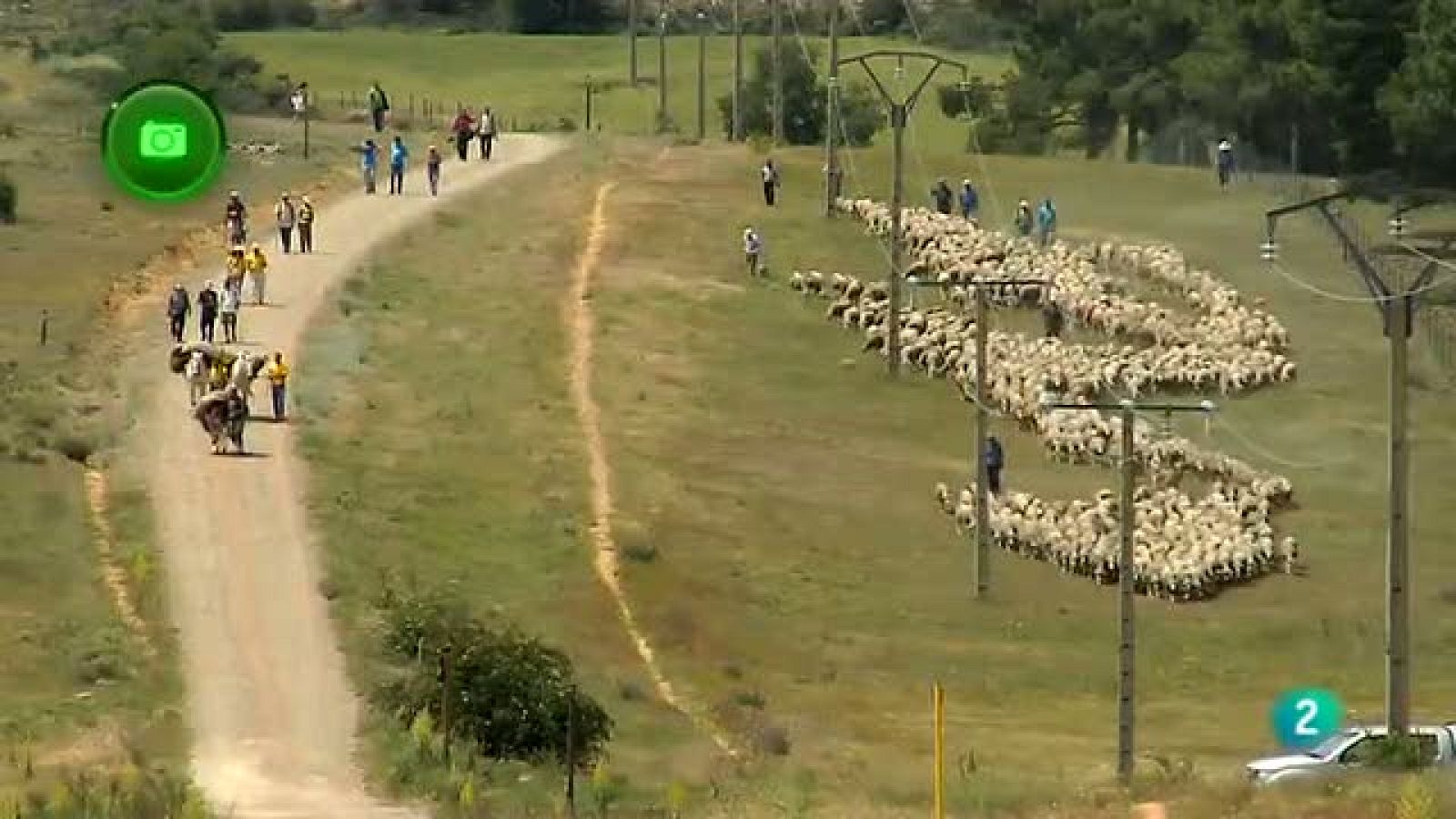 Agrosfera - En clave rural - Trashumantes