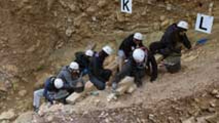 Descubrimiento en Atapuerca