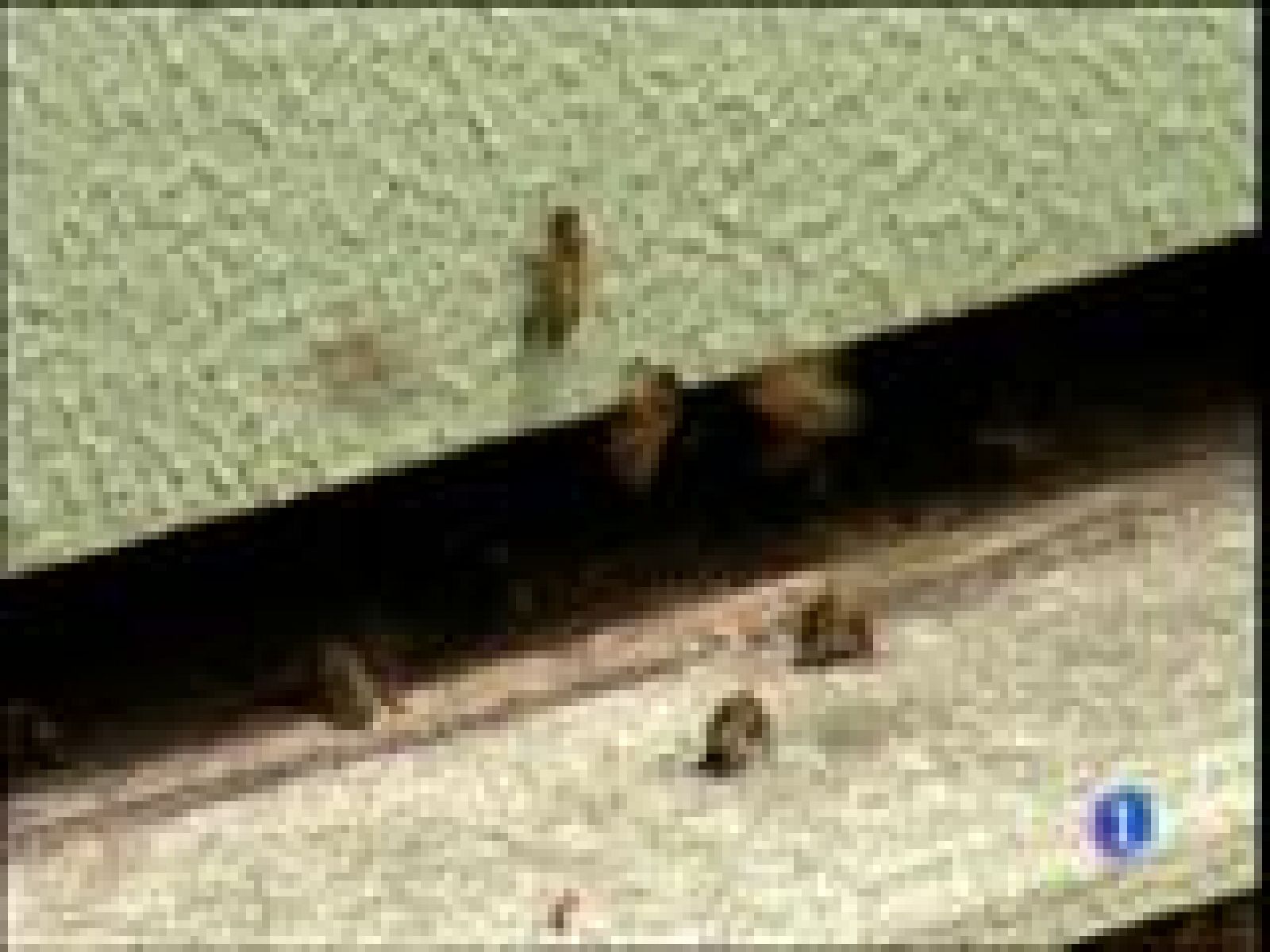 Panorama Regional 2 - 07/07/14 | Ver