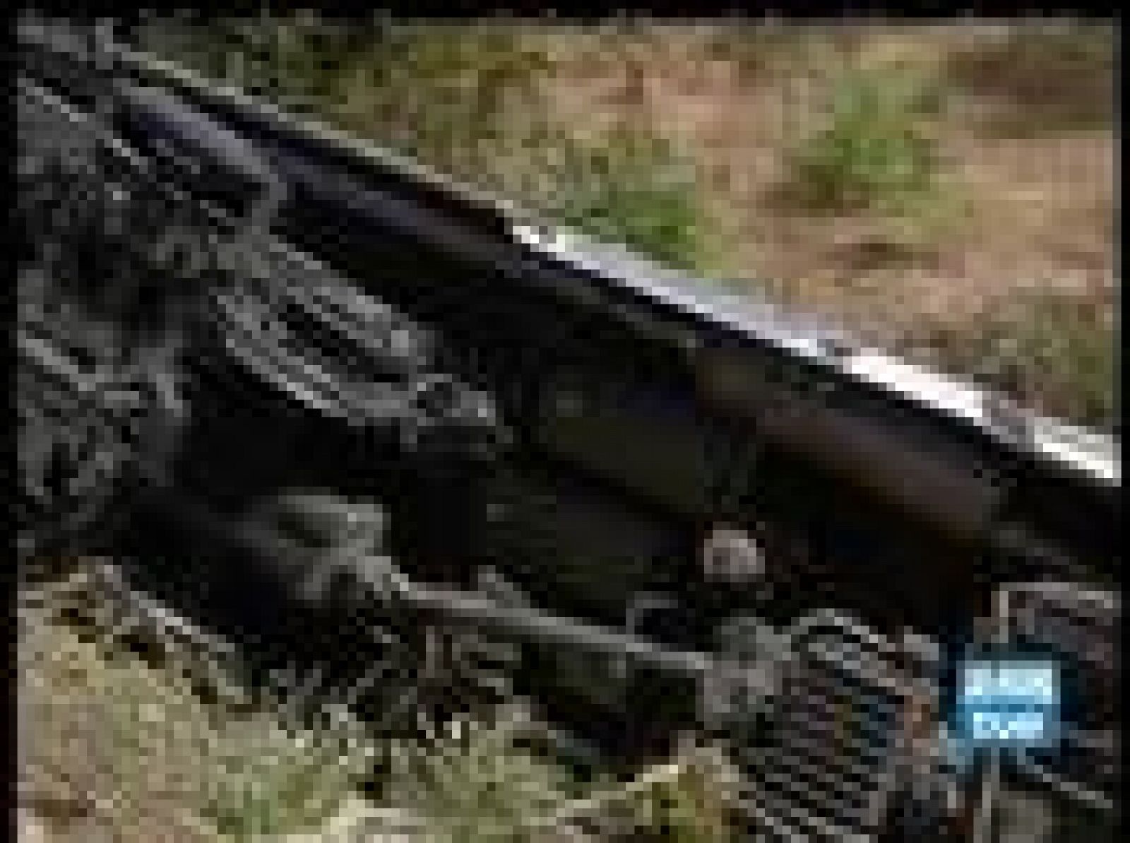 Un tren ligero descarrila en el norte de Portugal | Ver