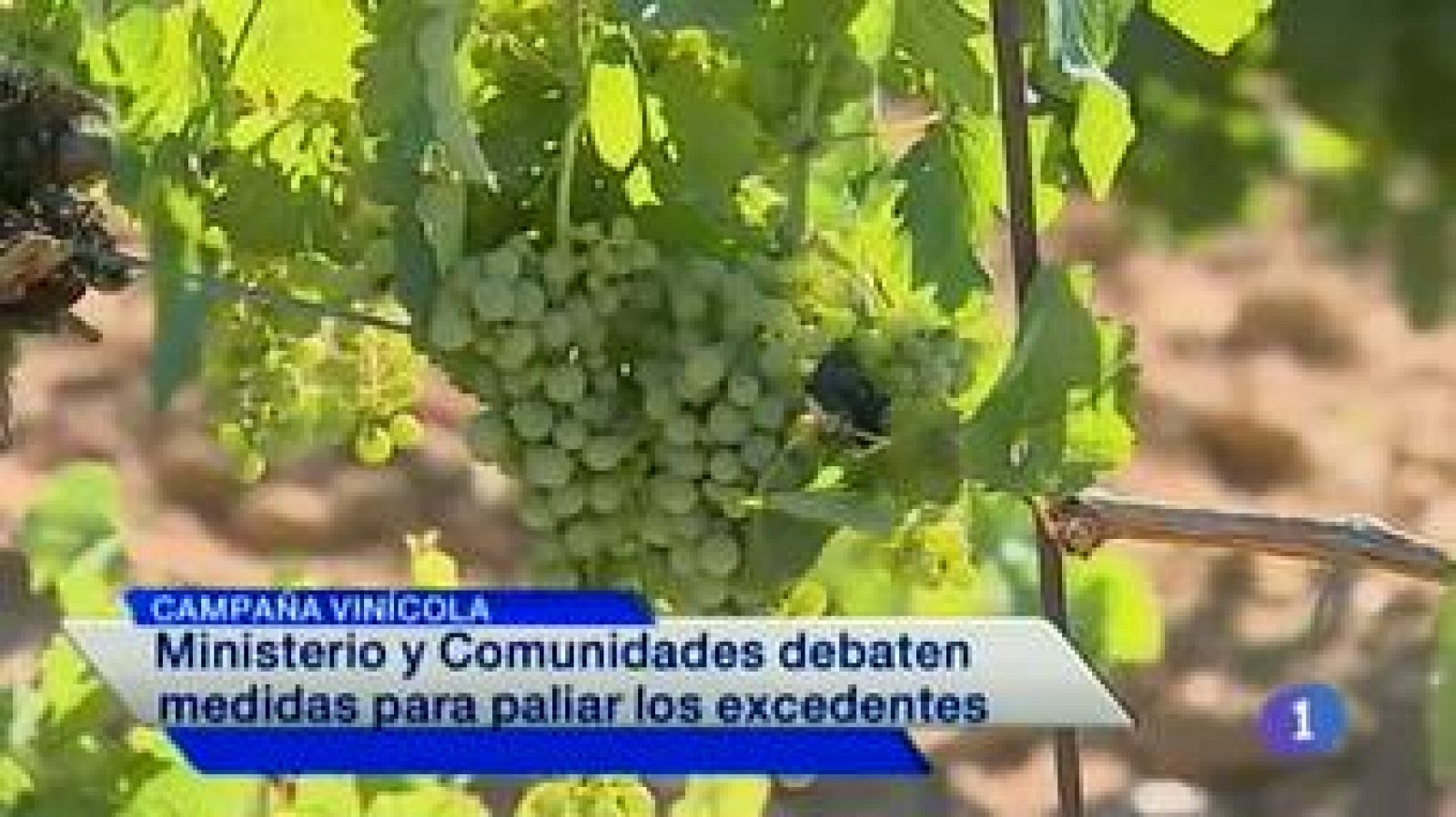 Noticias de Castilla-La Mancha: Castilla-La Mancha en 2' - 08/07/14 | RTVE Play
