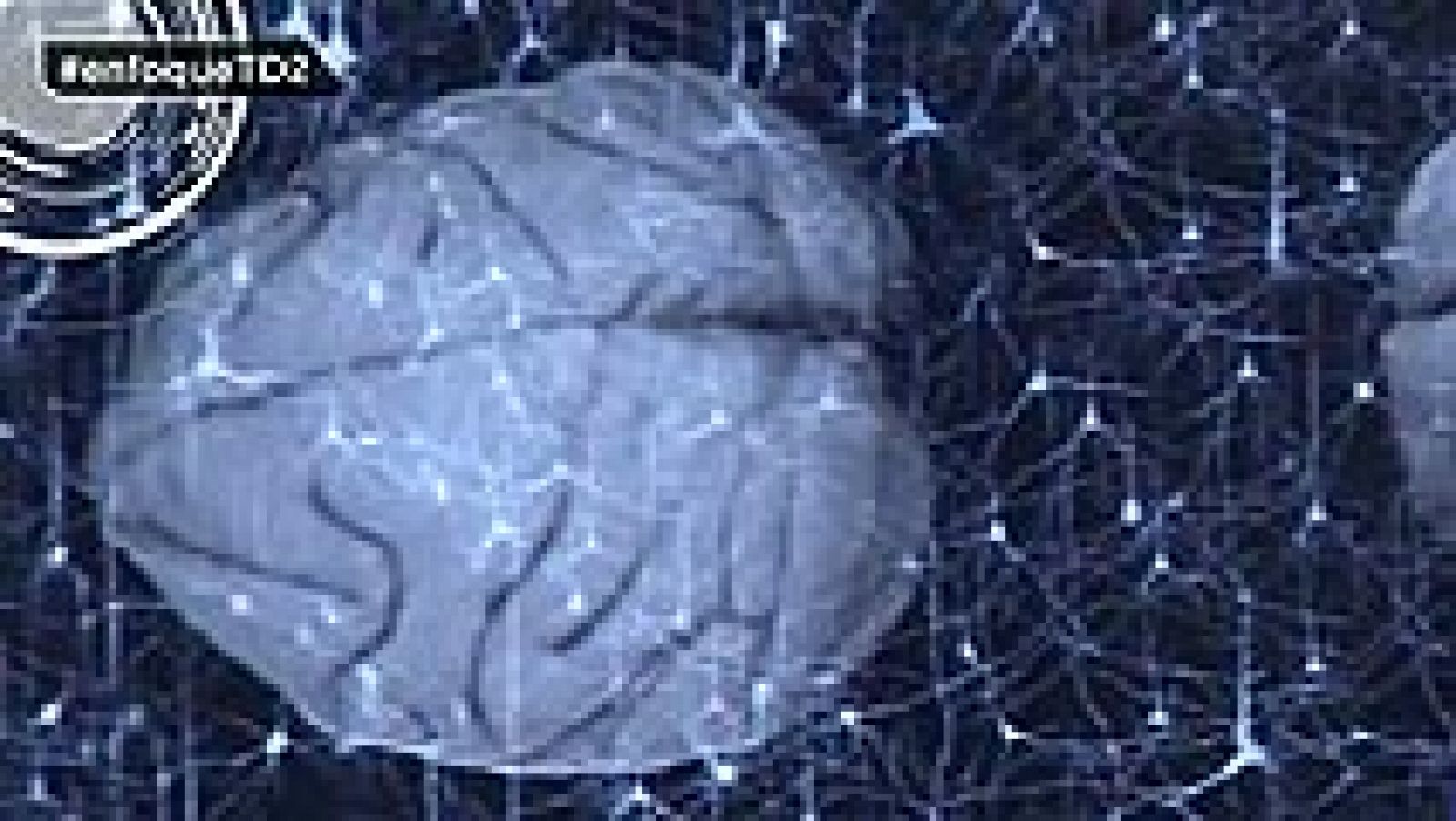 La informática al servicio de la biomedicina permite grandes avances | Ver