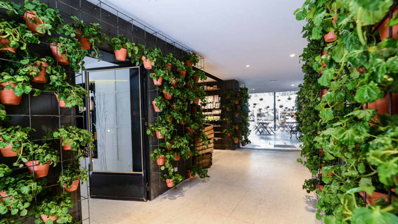 "El Huerto de Lucas", 100% natural