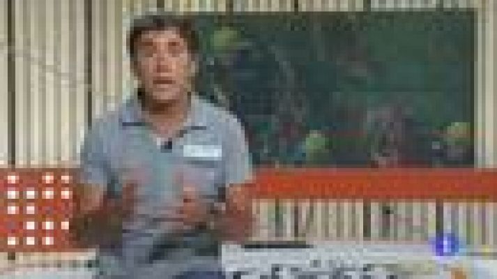 Telediario 1 - La sexta etapa del Tour, vista por Perico Delgado