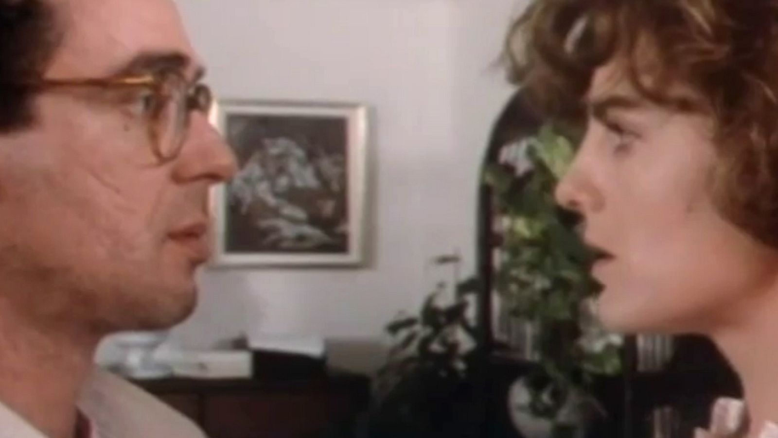 Gatos en el tejado - Las barbas de tu vecino