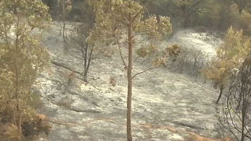 Noticias de Ceuta - 11/07/14