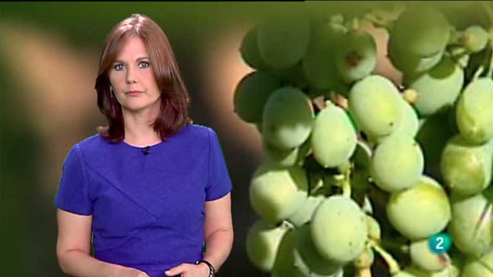 Agrosfera - 12/07/14 - ver ahora