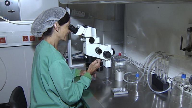 El cuatro por ciento de los bebés españoles que nacen son concebidos mediante fecundación in Vitro 