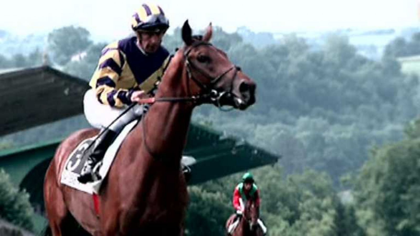 Turf - 13/07/14 - Ver ahora