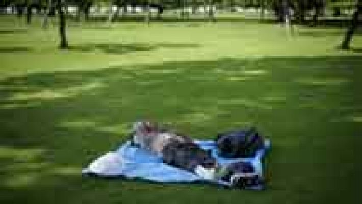 El tiempo - Más calor en Andalucía, Extremadura, Madrid y Castilla-La Mancha