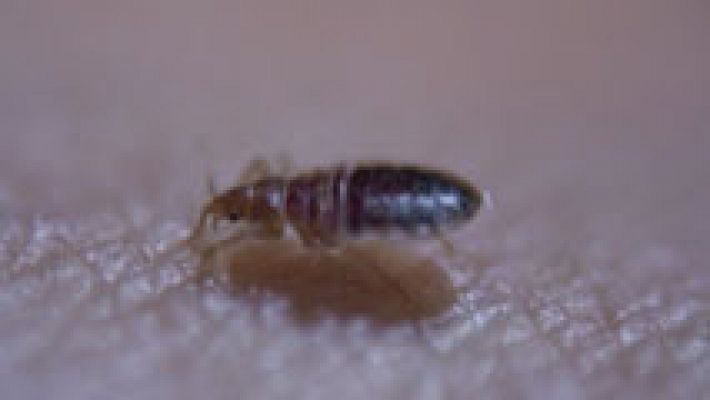 Informativo de Madrid - Informativo de Madrid 2 - 14/07/14