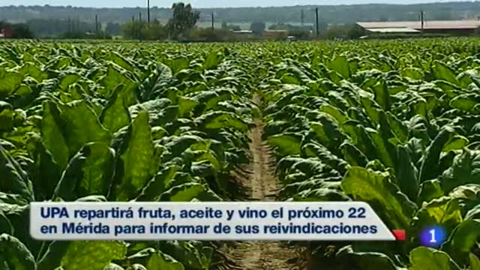 Noticias de Extremadura 2 - 16/07/2014 | Ver