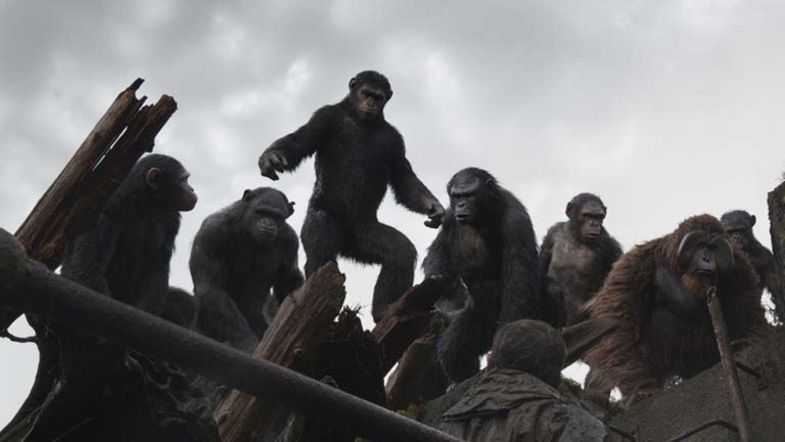 Andy Serkis, el líder del Planeta de los Simios inspirado en Nelson Mandela | Ver