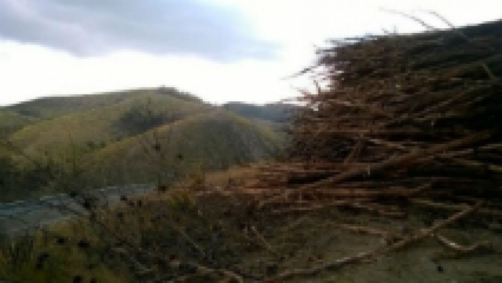 Alcublas regresa a la vida