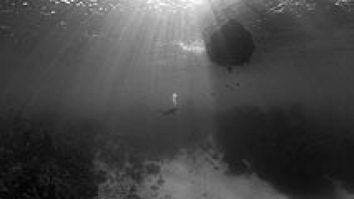 Telediario 1 - La protección de los tesoros de los fondos marinos