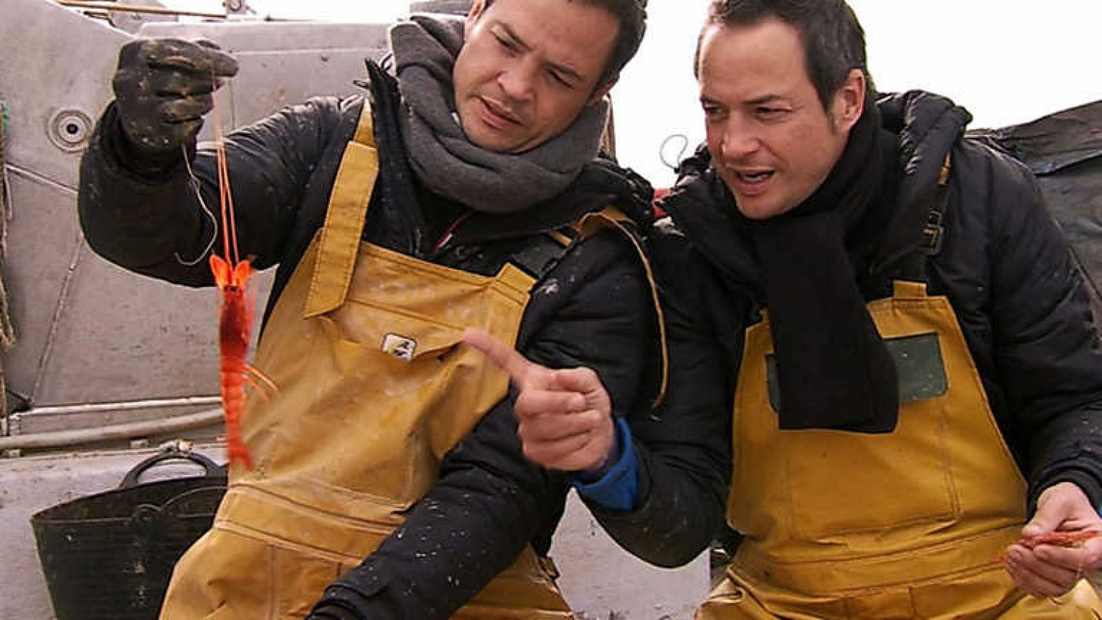 Cocina2 - Jávea: gamba roja - ver ahora