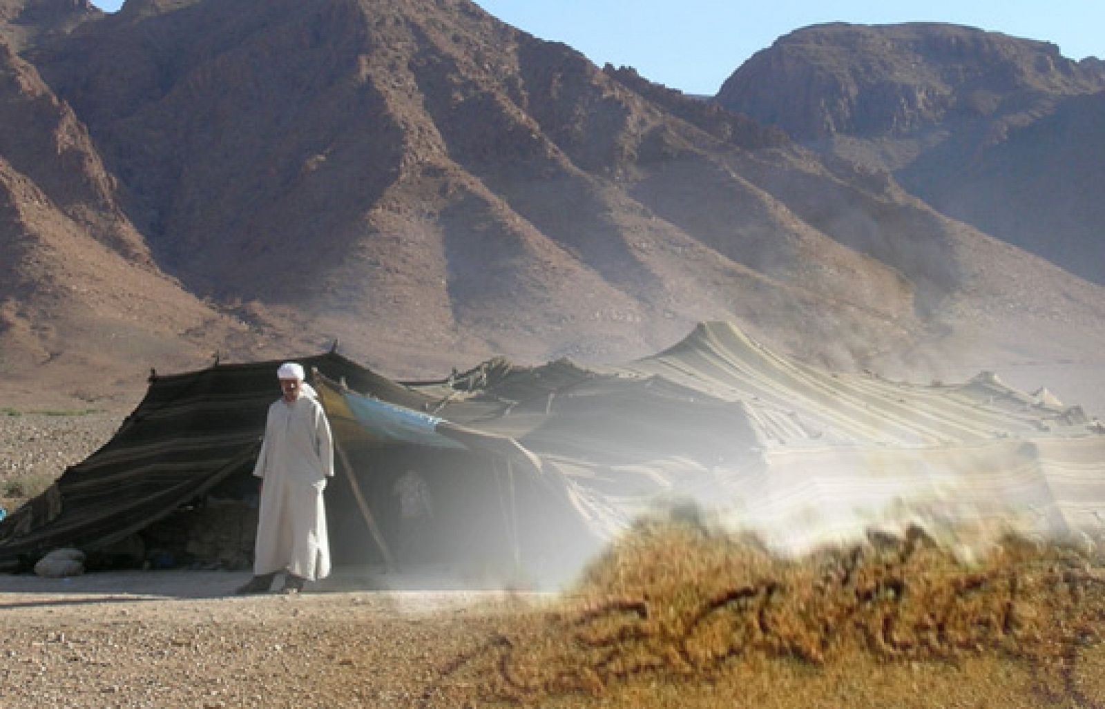 Azahar - Una fábula del desierto