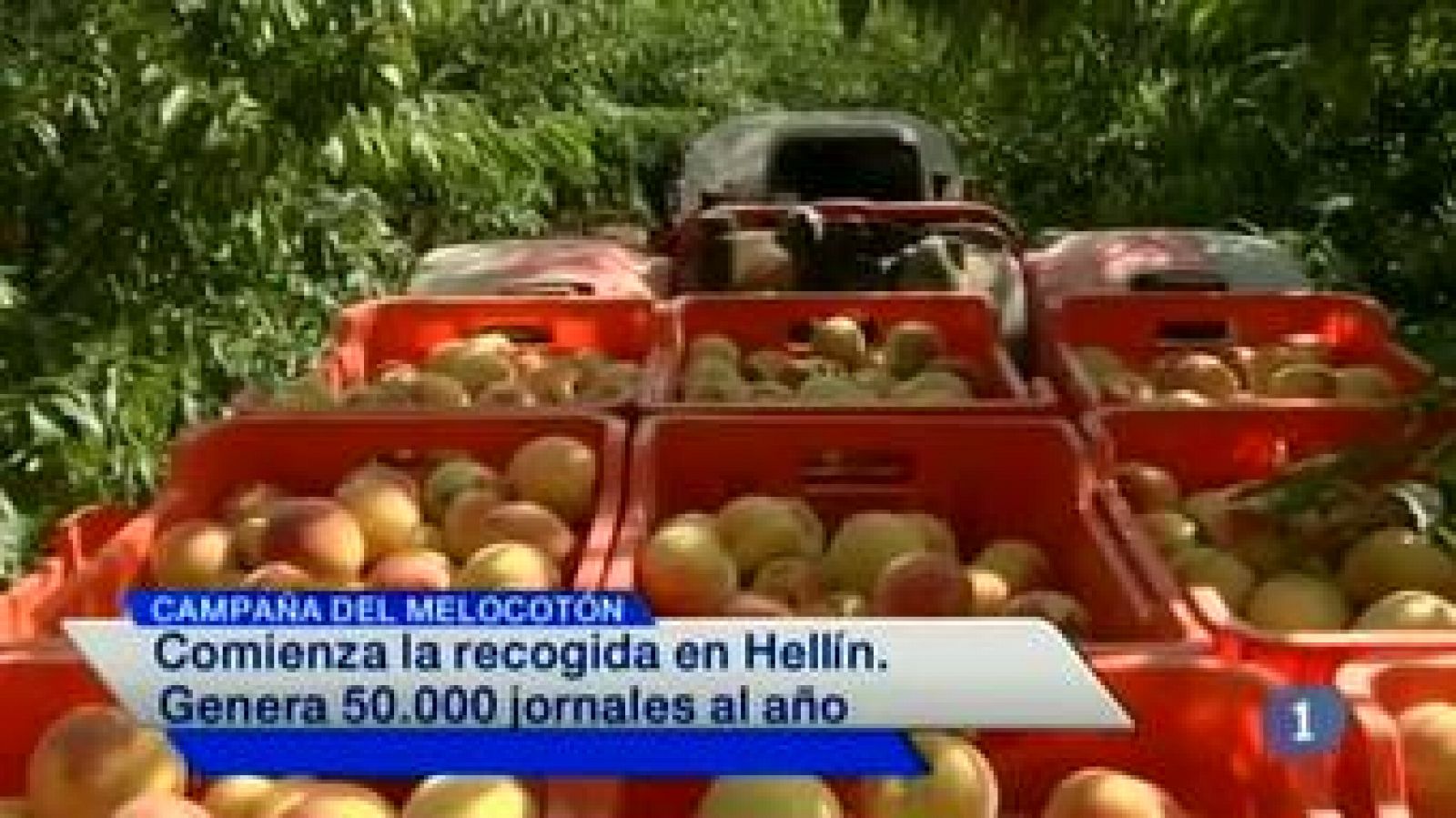 Noticias de Castilla-La Mancha: Noticias de Castilla-La Mancha - 17/07/14 | RTVE Play