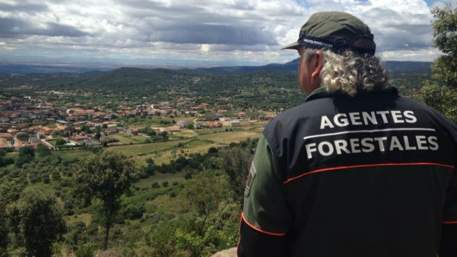 Emilio, los ojos del bosque