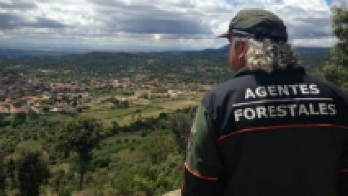 Aquí la Tierra - Emilio, los ojos del bosque