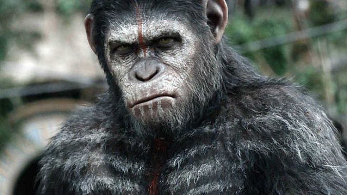 Días de cine - Días de cine - 17/07/14