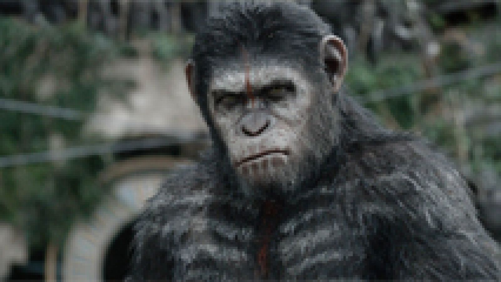 Días de cine: El amanecer del planeta de los simios | RTVE Play