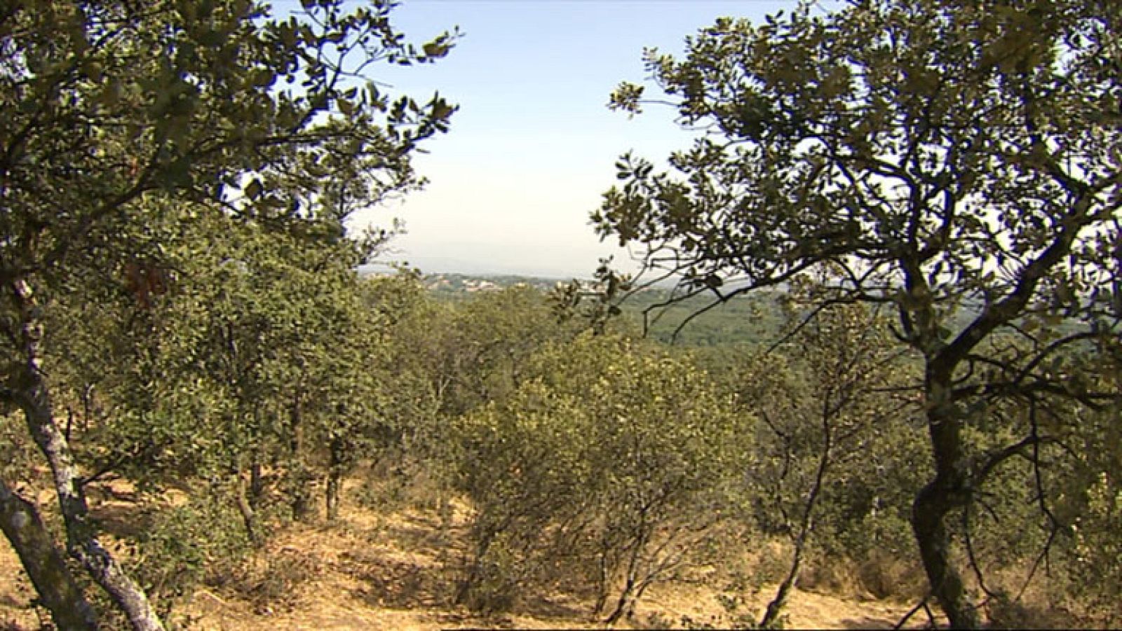 El Tiempo en la Comunidad de Madrid - 18/07/14