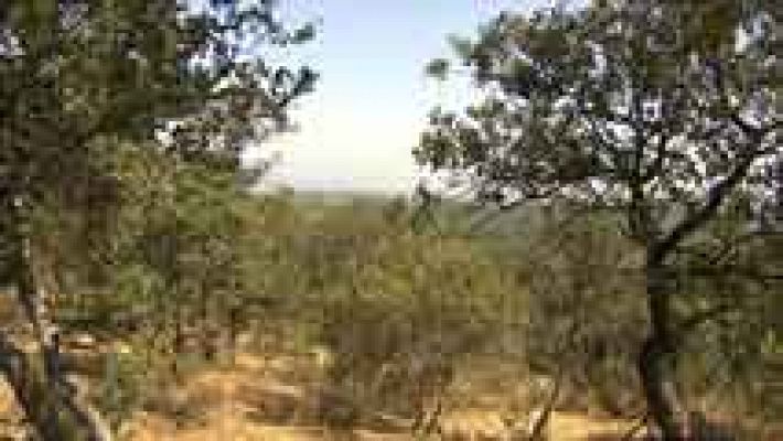 Informativo de Madrid - El Tiempo en la Comunidad de Madrid - 18/07/14