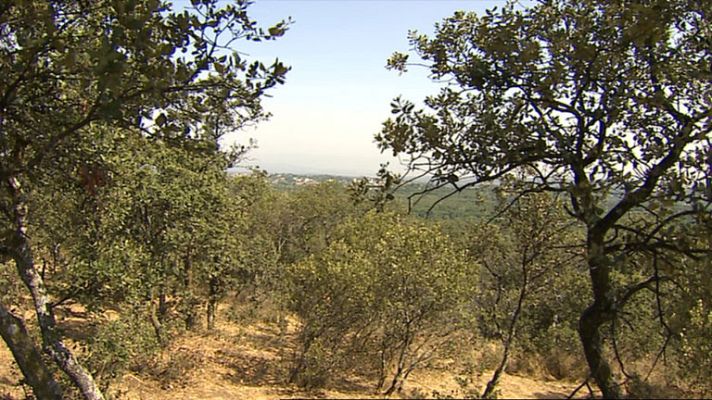 Informativo de Madrid - El Tiempo en la Comunidad de Madrid - 18/07/14