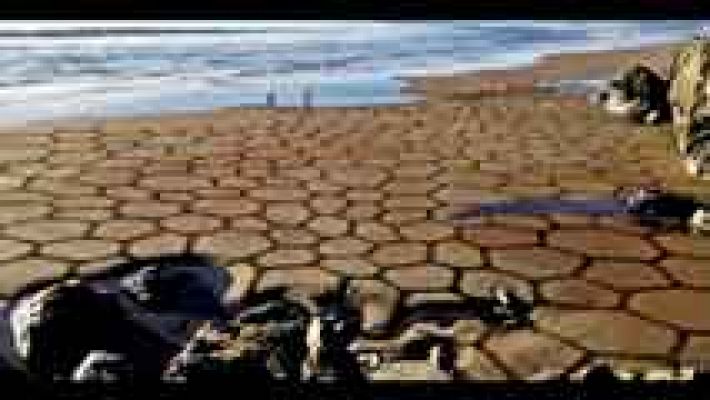 Telediario 1 - Andres Amador, pintor de playas