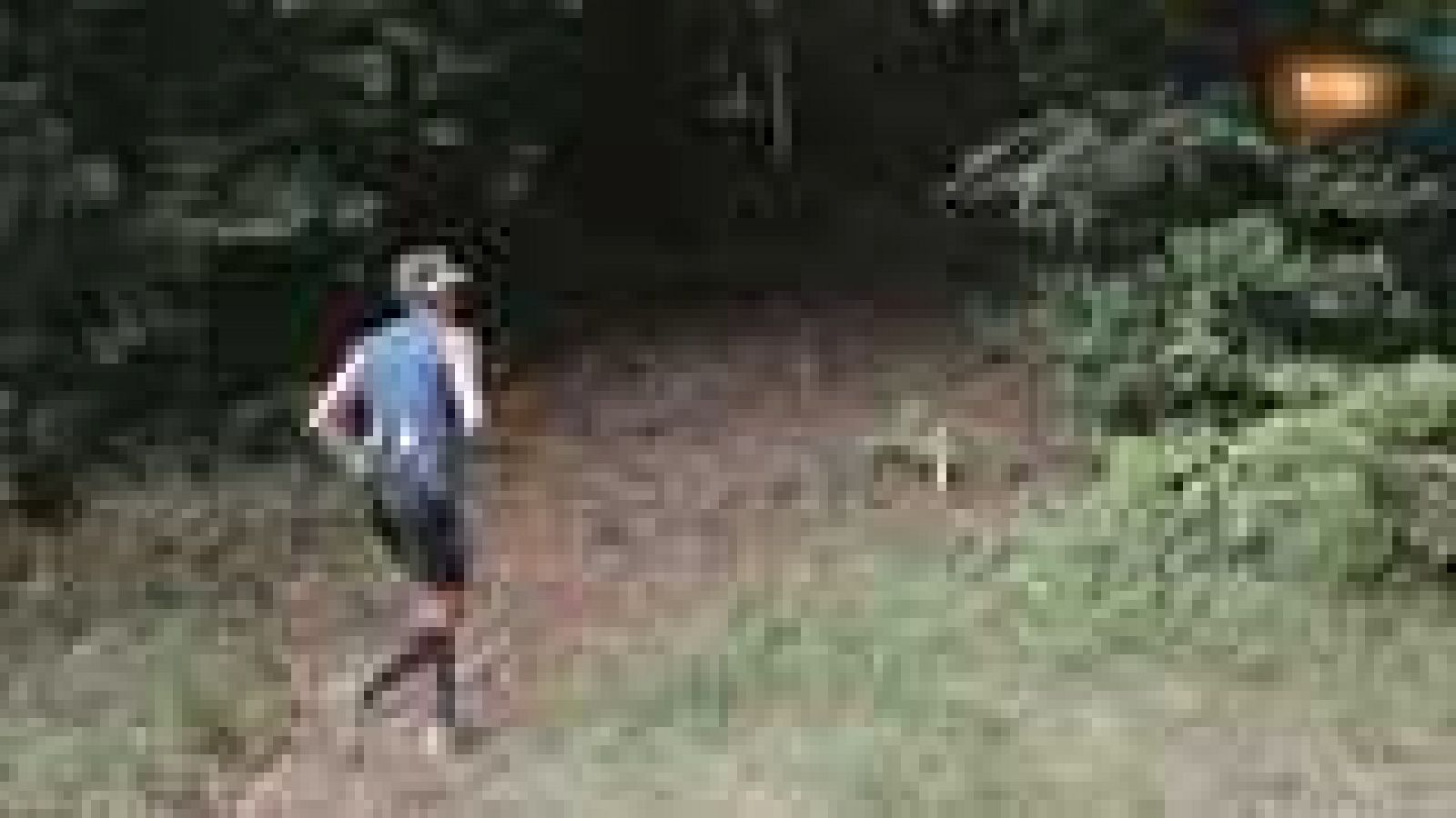 Trail Montaña - Adeyahamen Trail - ver ahora