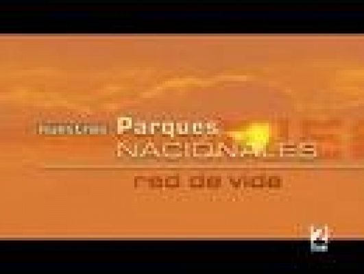 Espacios naturales - Islas Atlánticas de Galicia