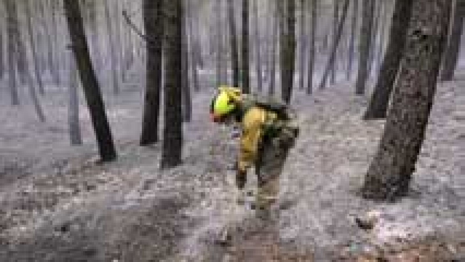 Telediario 1: 1.183 incendios más que en el mismo periodo del año pasado  | RTVE Play