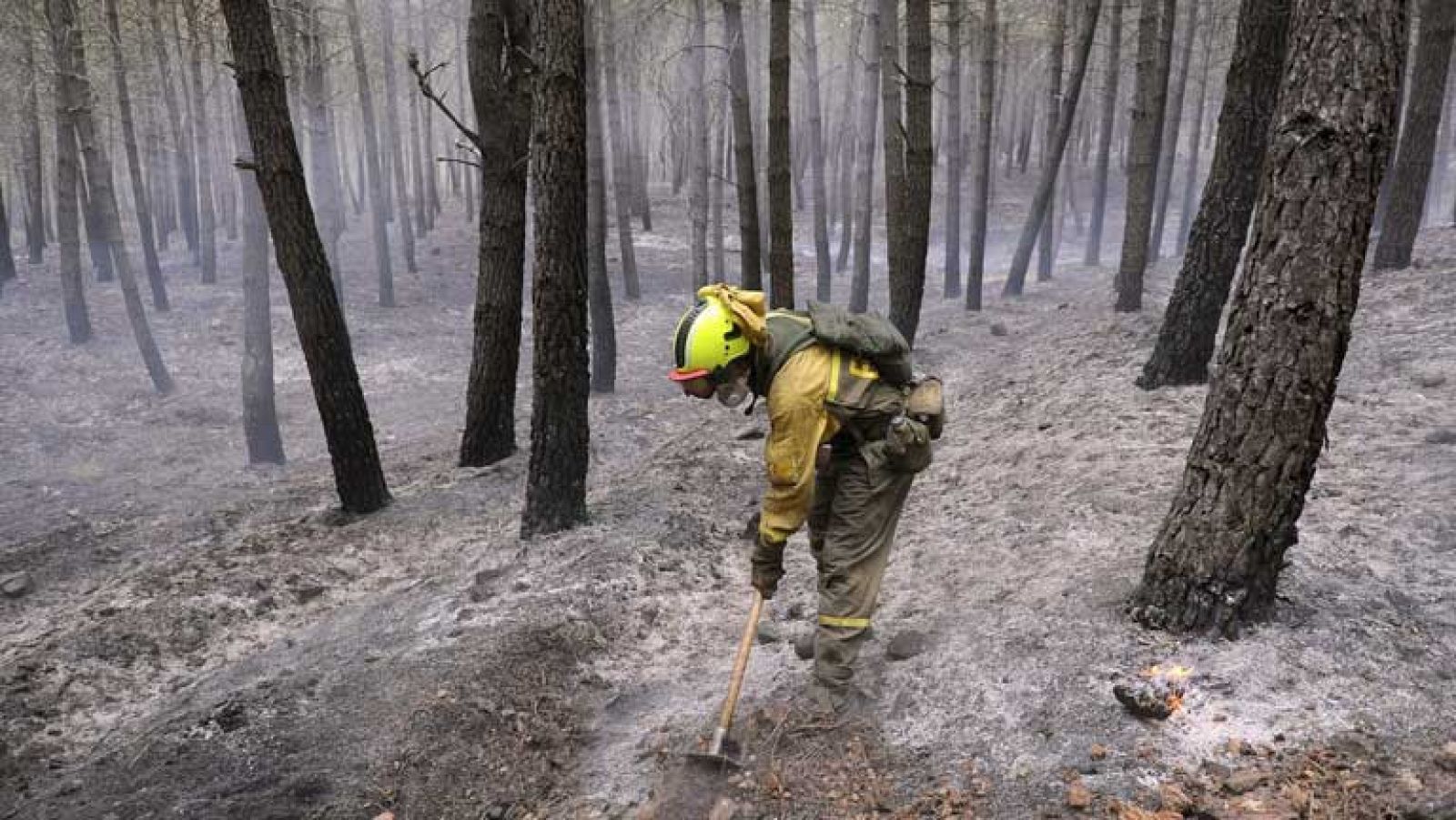 1.183 incendios más que en el mismo periodo del año pasado