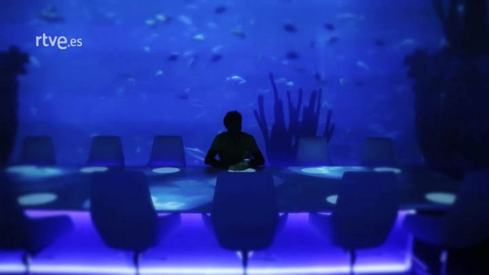 Capitán Q: El Sublimotion | RTVE Play