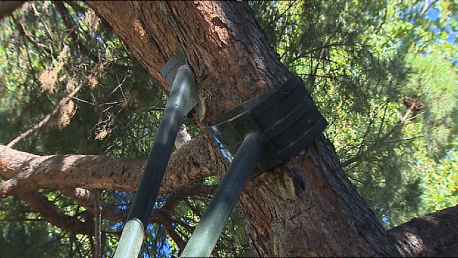 La Comunidad de Madrid en 4' - 22/07/14