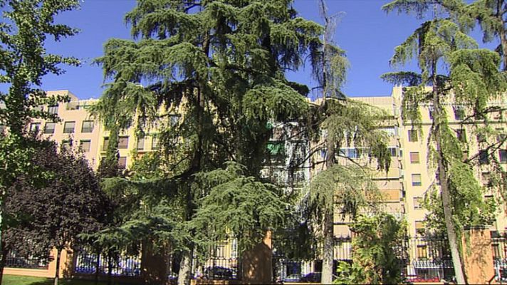 Informativo de Madrid - El Tiempo en la Comunidad de Madrid - 22/07/14