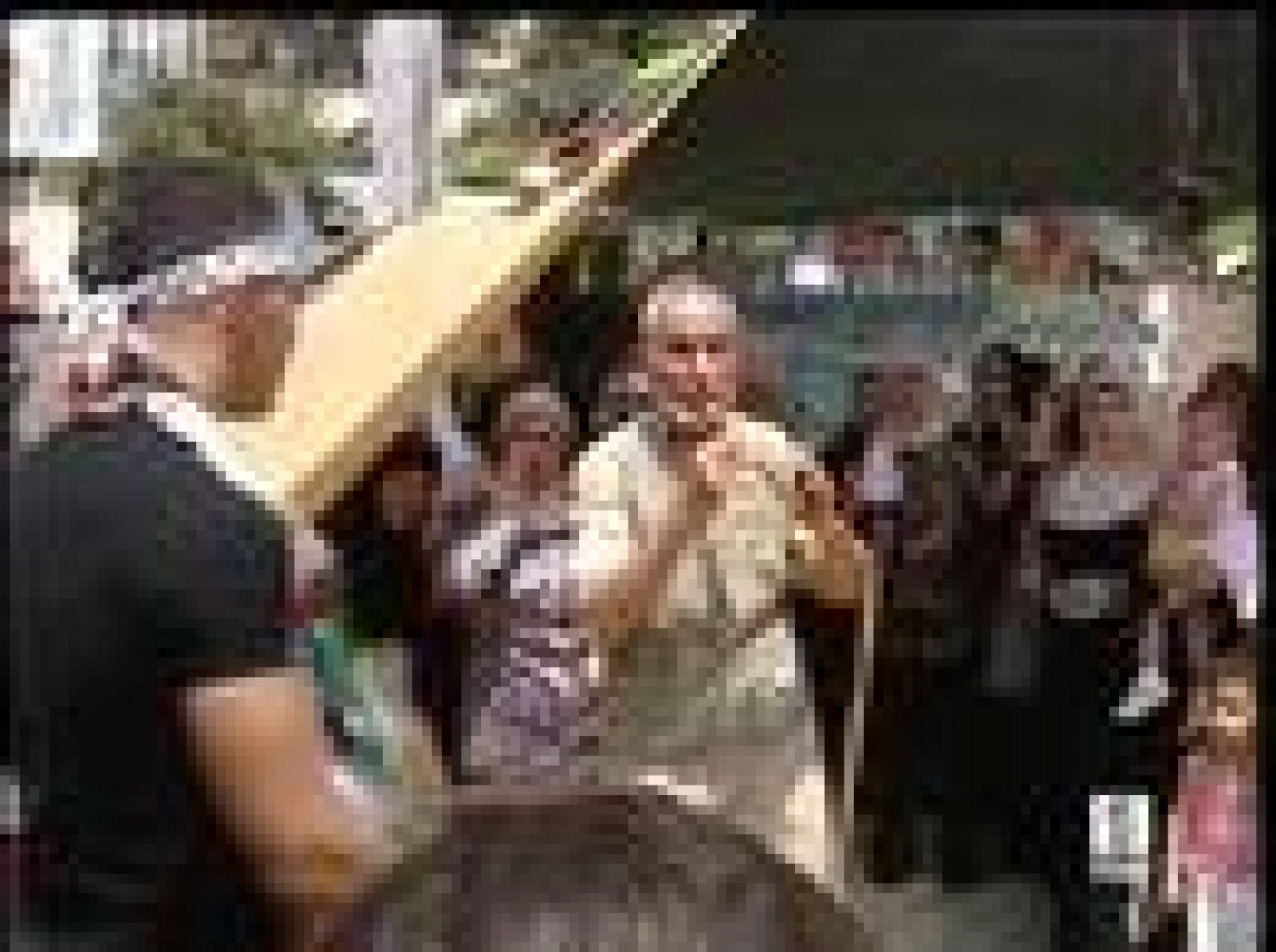 Multitudinario recibimiento a los 198 prisioneros palestinos | Ver