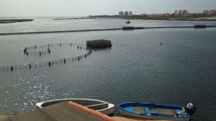 Aquí la Tierra - Vaya, vaya, ¡ en Extremadura hay playa!