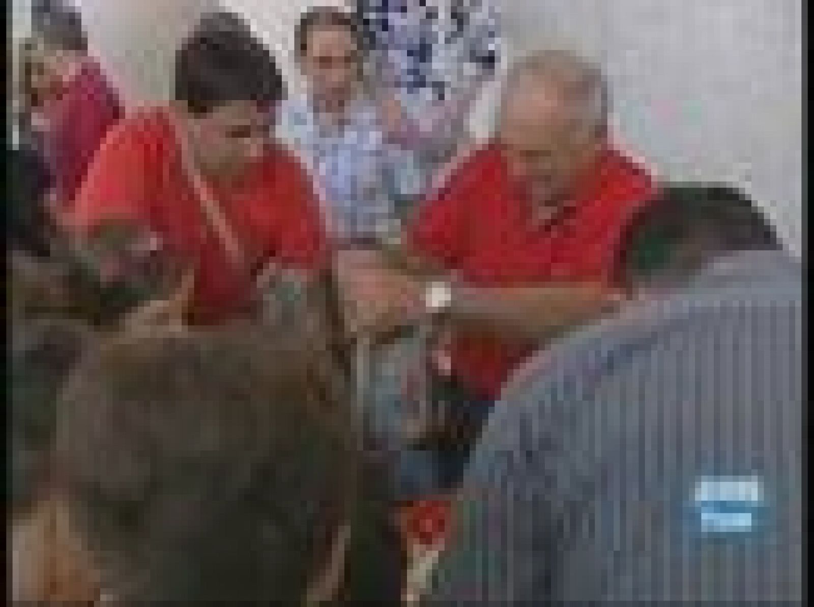 Carrera de caracoles en La Rioja | Ver