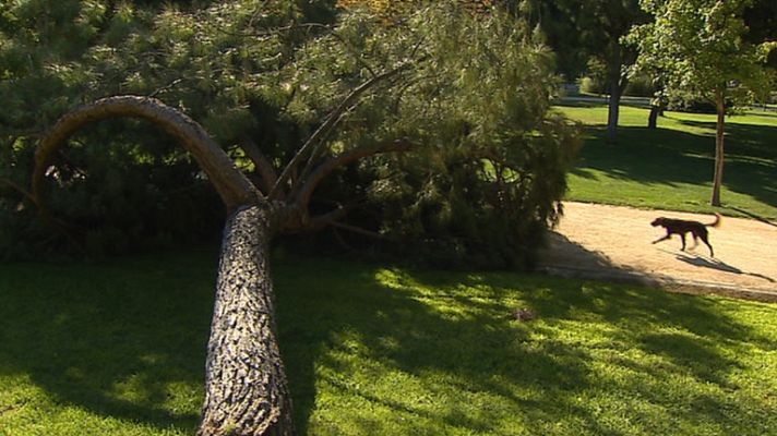 Informativo de Madrid - Informativo de Madrid 2 - 23/07/14