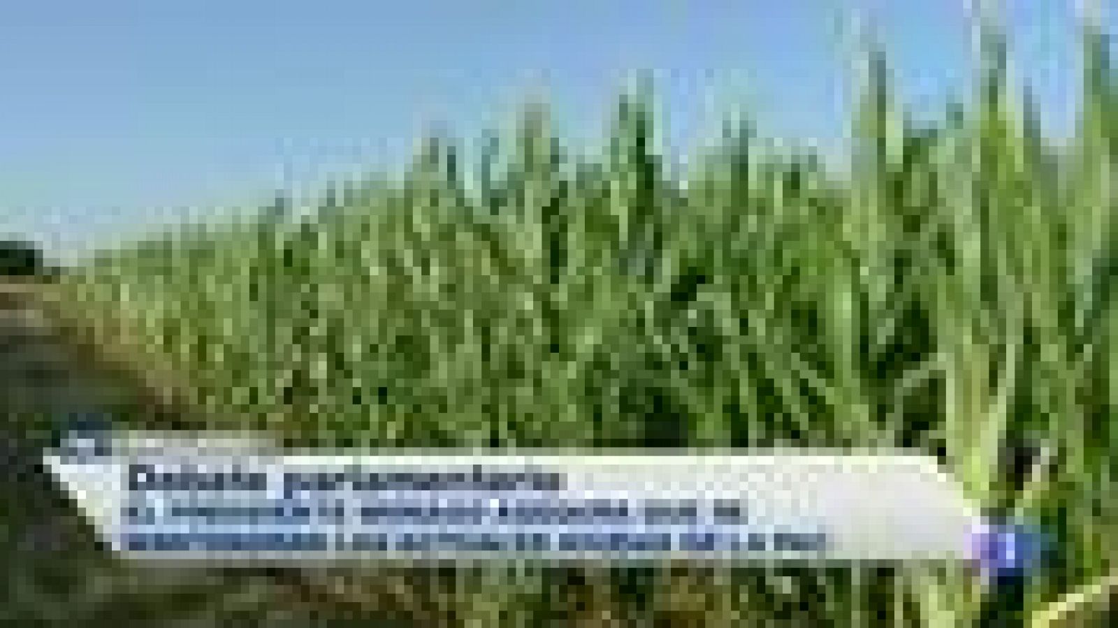 Noticias de Extremadura - 24/07/2014 | Ver